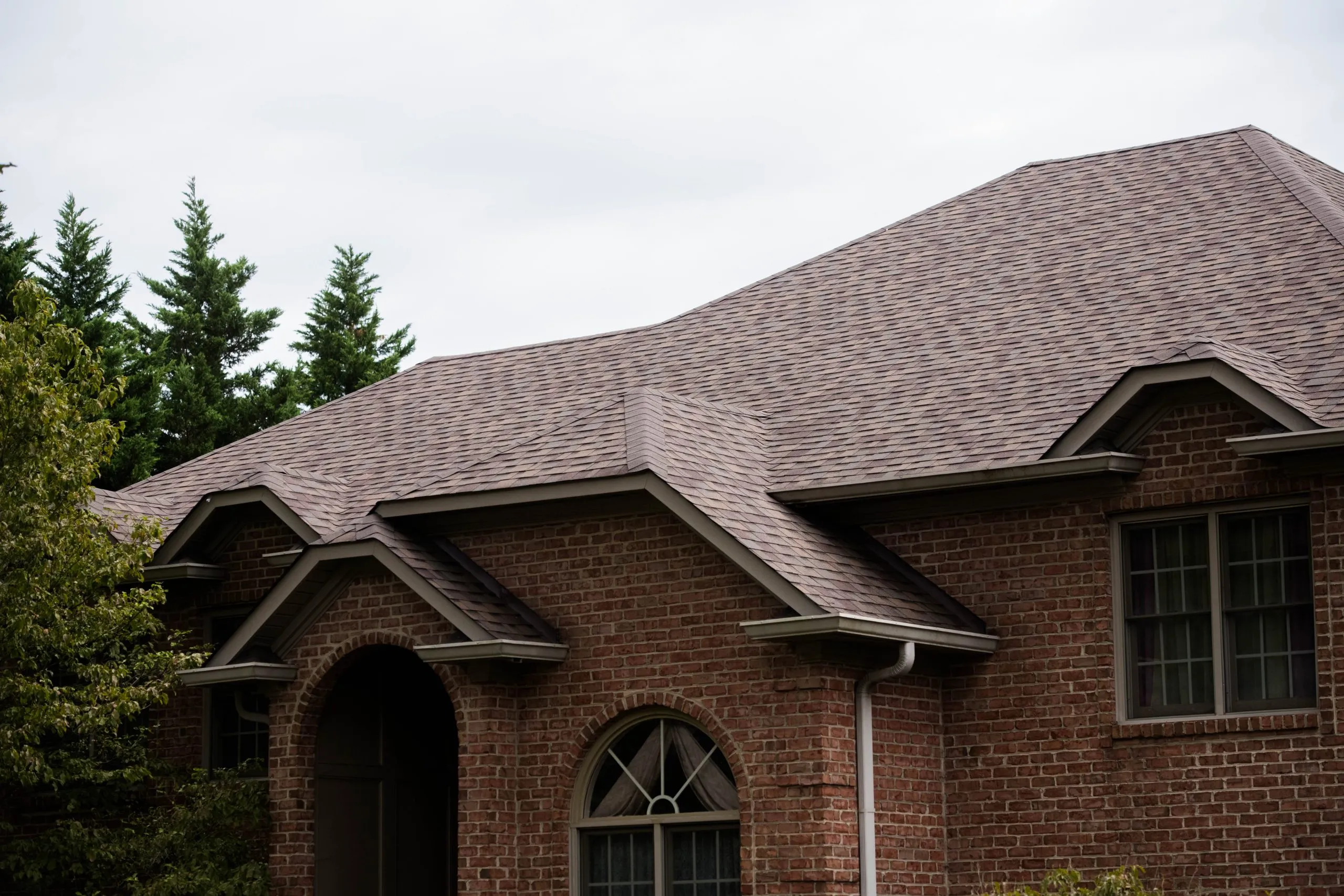 Architectural Shingles scaled