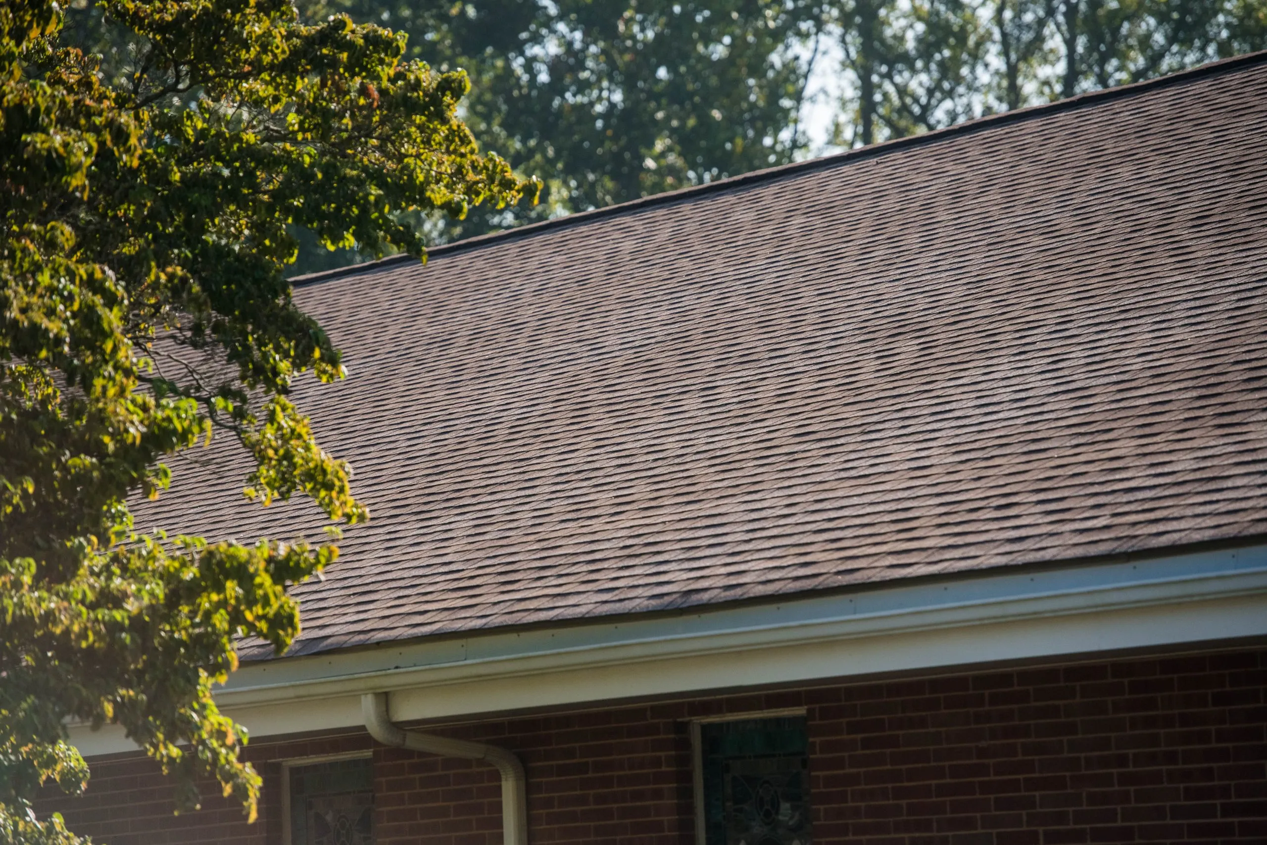 Asphalt Shingle Roofing Services scaled