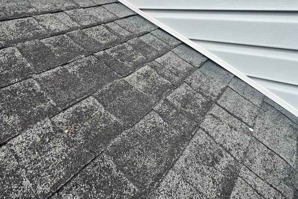 Shingle Roof Replacement by Mid Atlantic Roofing