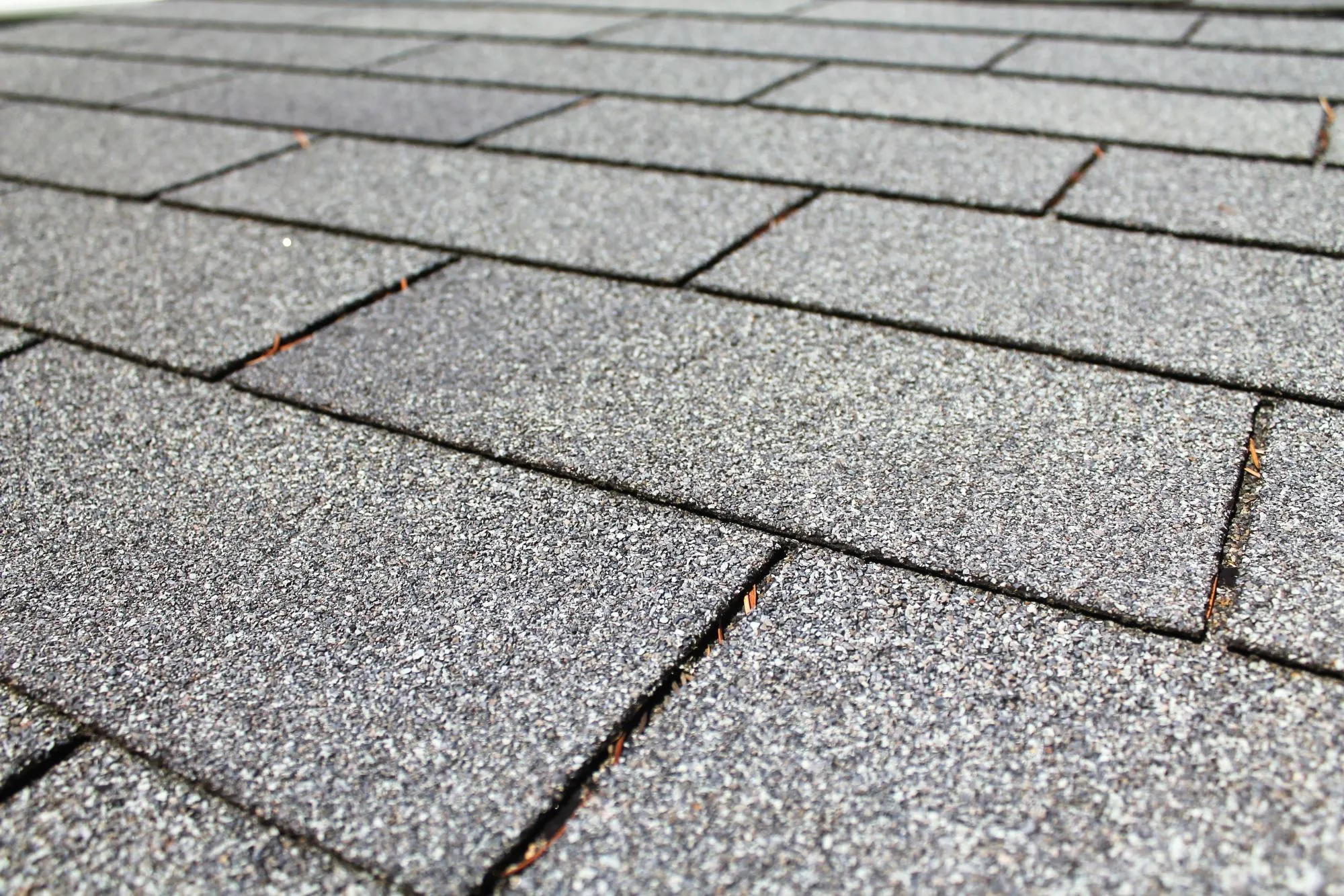 Shingle roofing