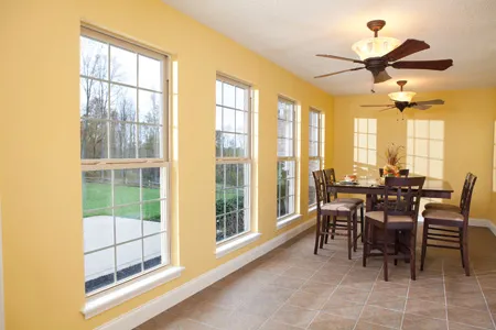 Windows & Skylights